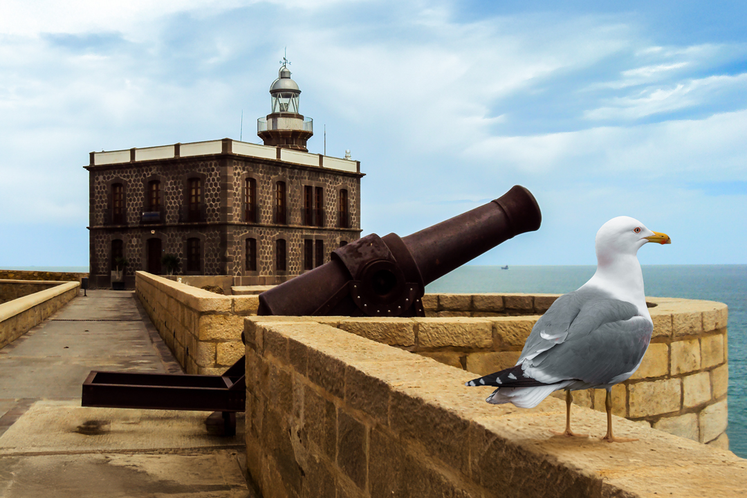 Comparte Melilla